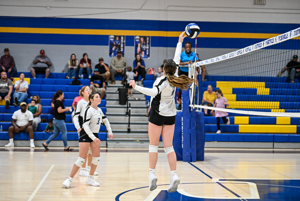 Volleyball Game