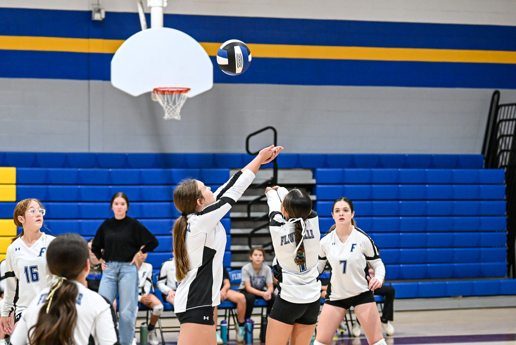 Volleyball Game
