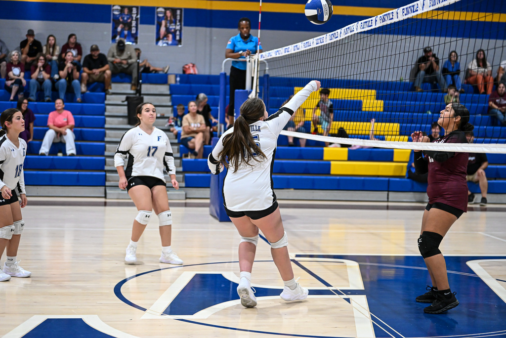 Volleyball game