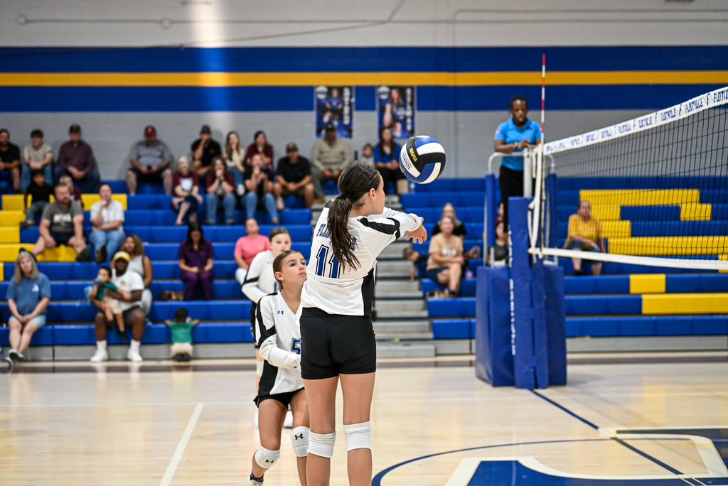 Volleyball Game