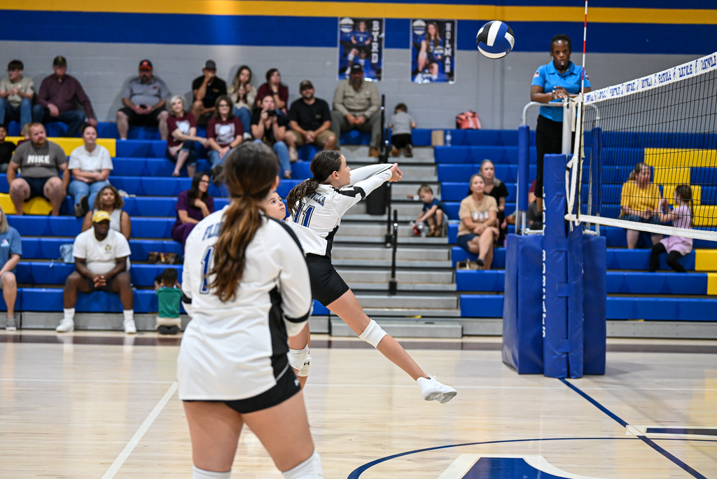 Volleyball Game