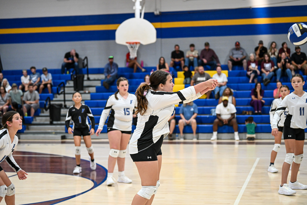 Volleyball Game