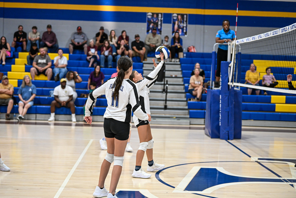 Volleyball Game