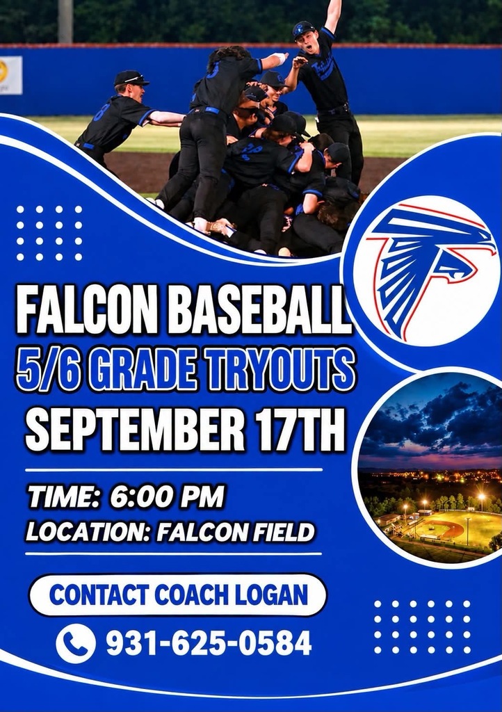Falcon 5/6 Baseball