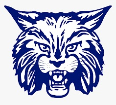 jr pro basketball sign up form 