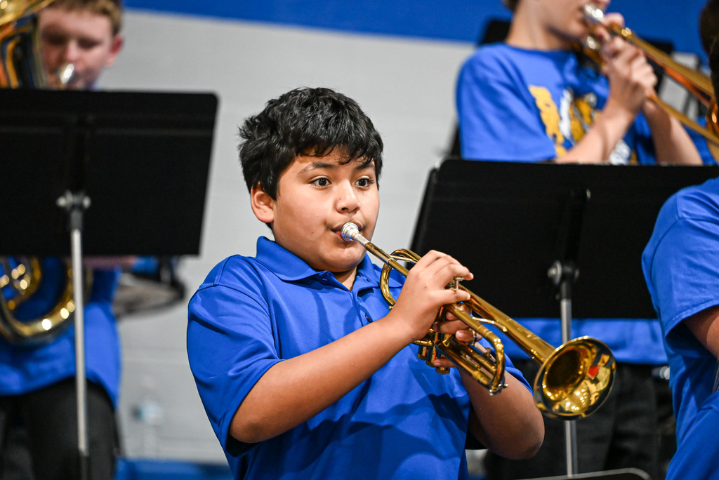 Fliintville Band