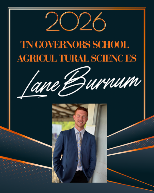 Burnum GOVSCHOOL