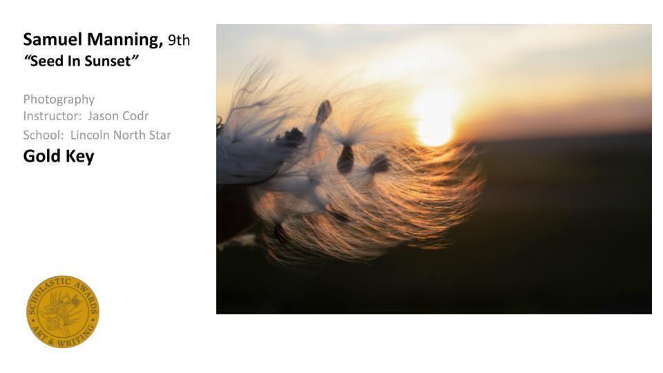 Samuel Manning's photo shows hairs on a plant waving in the wind at sunset. The words Samuel Manning, 9th, 'Seed in Sunset'' Photography - Instructor Jason Codr - School Lincoln North Star - Gold Key are on the lefthand side along with an image of a Gold Key seal.