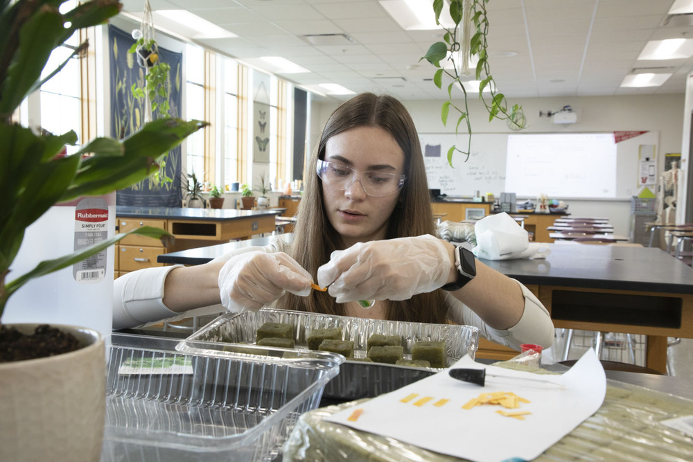 IB Student reads chemical test strip