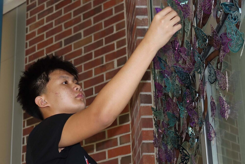 Park Middle School student Tha places a plastic butterfly on a cafeteria window this month to raise awareness about suicide prevention. He is using his right hand to tape the butterfly to a window that has an image of a tree on it. Dozens of butterflies are taped on the tree to represent the power of hope, courage and optimism.
