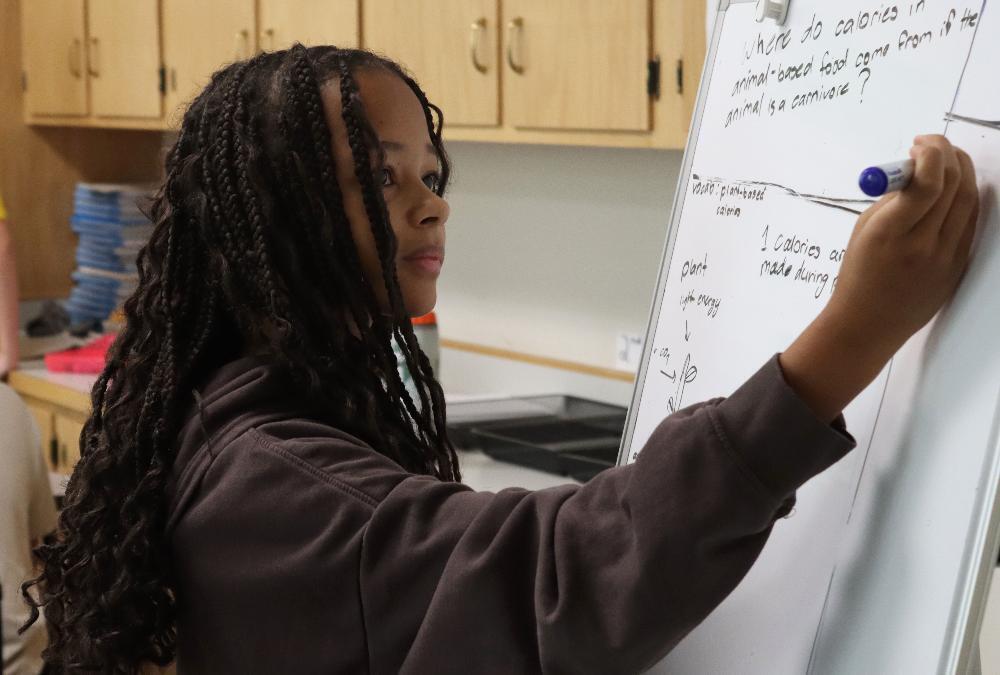 A young person with long, dark braided hair writes on a whiteboard with a blue marker. The board displays science notes on calories and a plant diagram. They wear a brown top in a room with light wood cabinets.