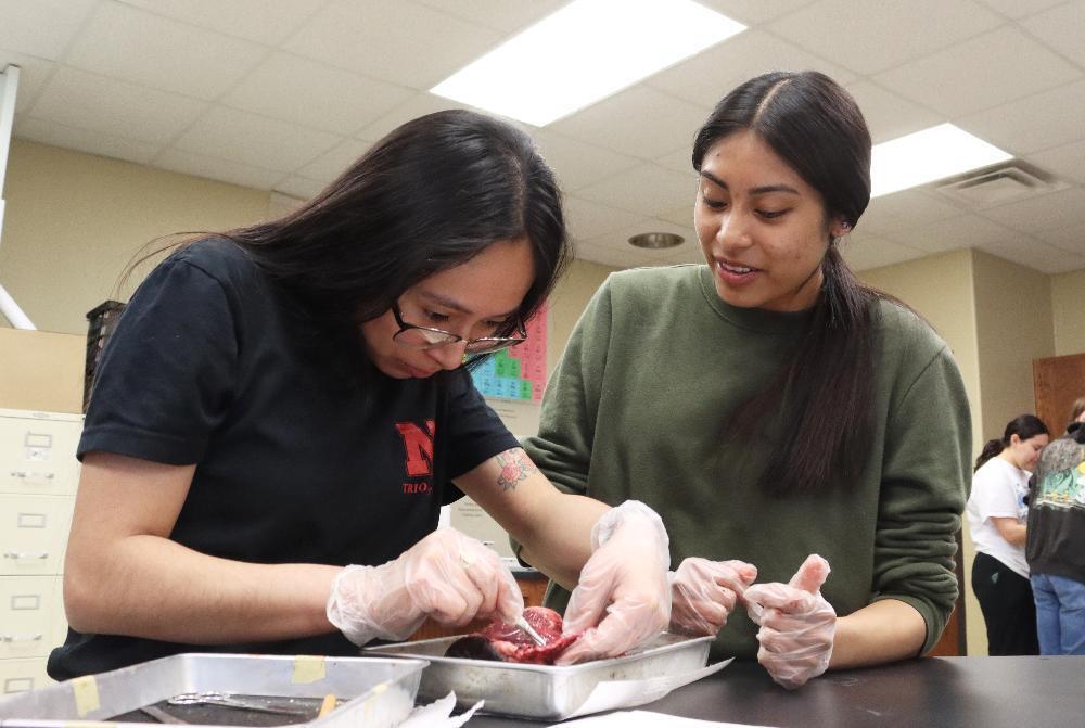 In a science lab, two young women in clear gloves dissect an animal organ in a tray. One, wearing glasses, carefully uses tools while the other observes intently, both focused on the hands-on activity.