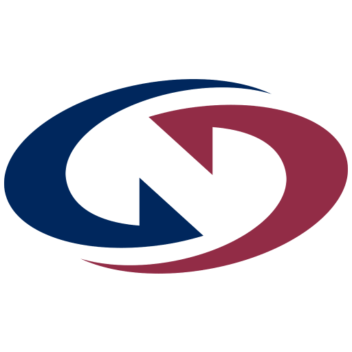 LNS Logo