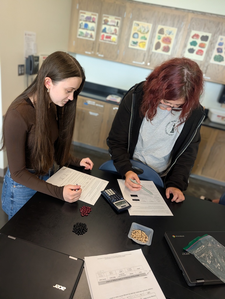 Students are collaborating on data interpretation with different colored pinto beans and calculator on lab table.