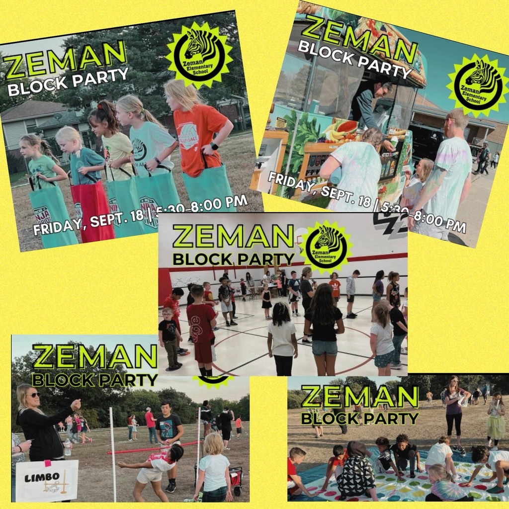 ZemanBlockPartyCollageofPhotos