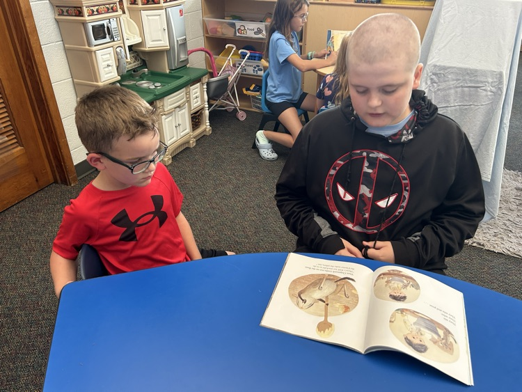 Kindergarten and 5th Grade