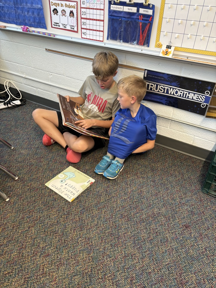 reading