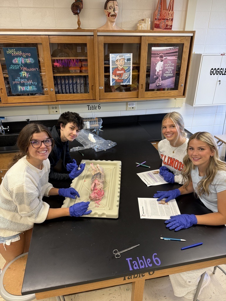 students dissecting animals at a lab table