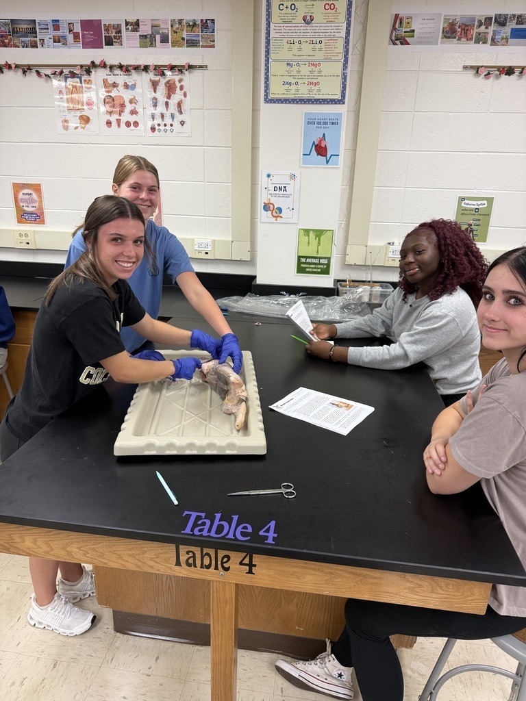 students dissecting animals at a lab table