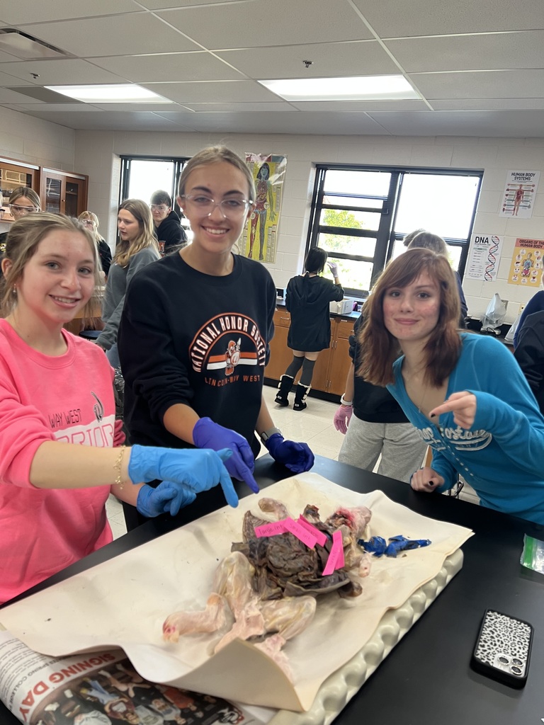 students dissecting animals at a lab table