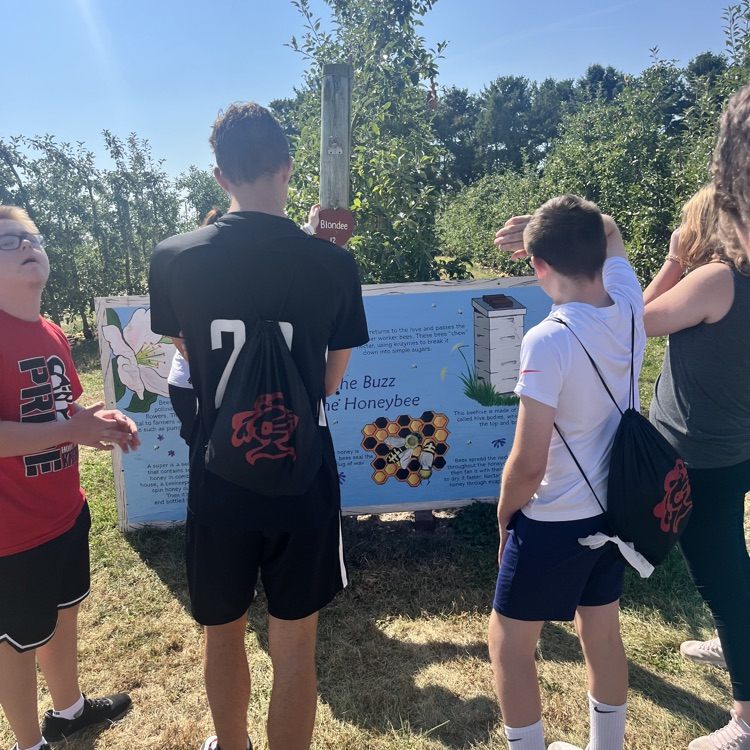 students at the apple orchard