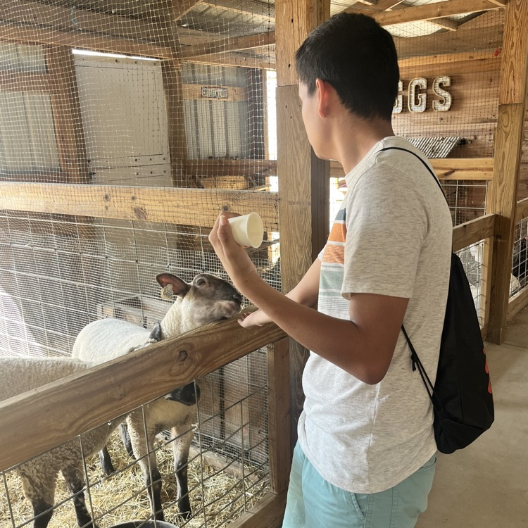 students at the apple orchard