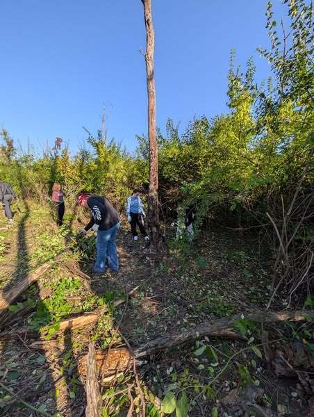 Environmental action clubs at LWW and LWC