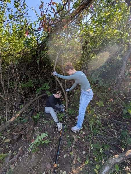 Environmental action clubs at LWW and LWC