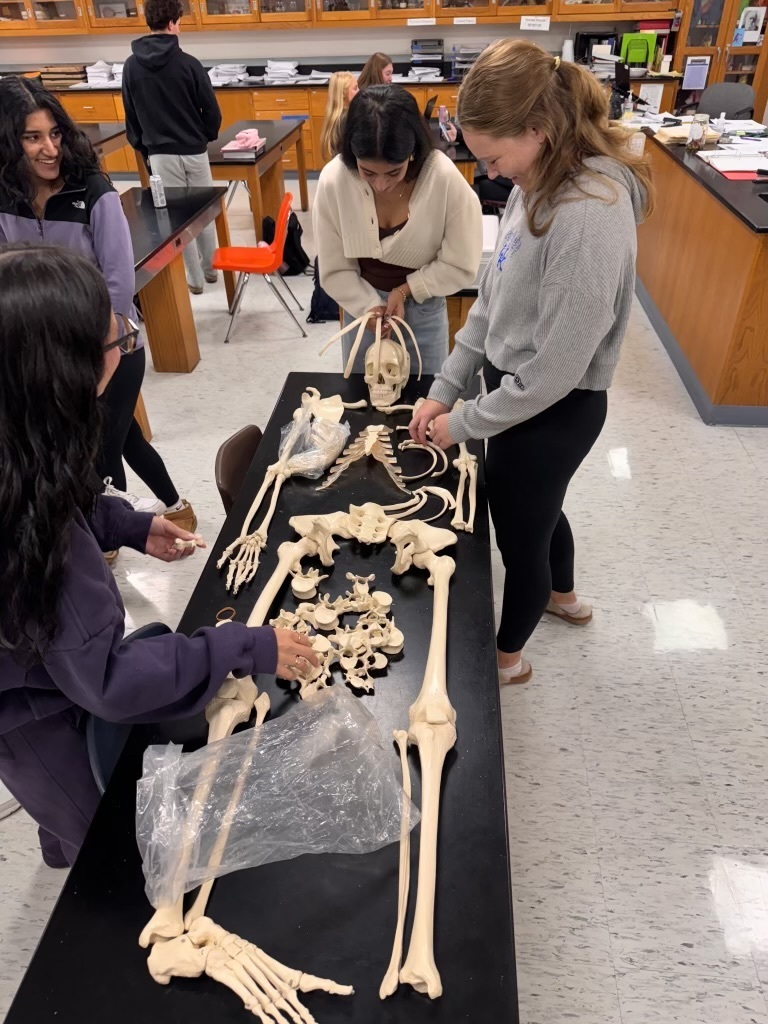 East anatomy and physiology