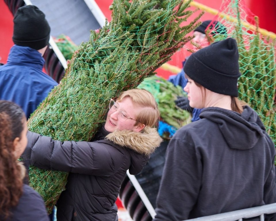 Christmas Tree Ship volunteers offload trees in Chicago