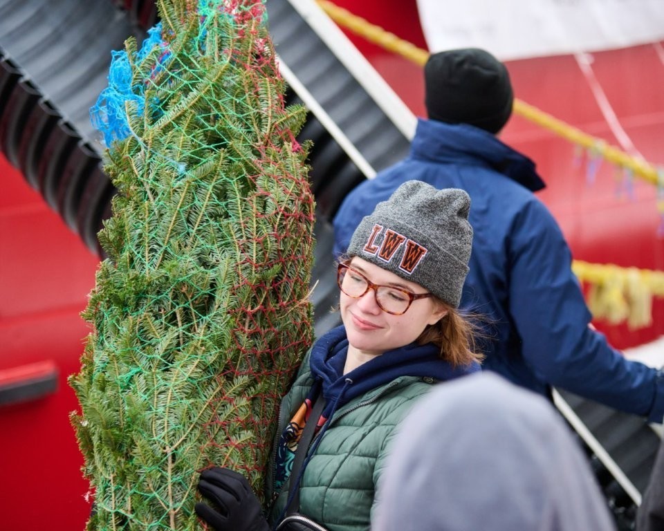 Christmas Tree Ship volunteers offload trees in Chicago