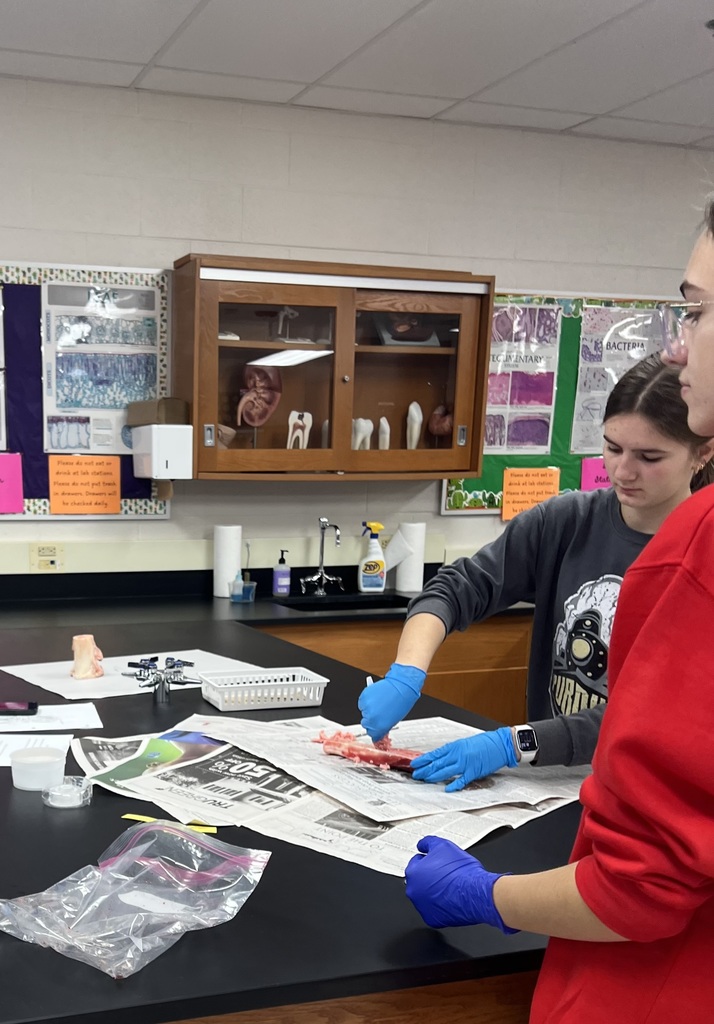 Two students participating in bone marrow lab