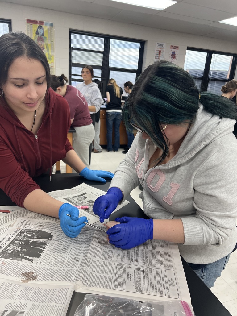 Two students participating in bone marrow lab