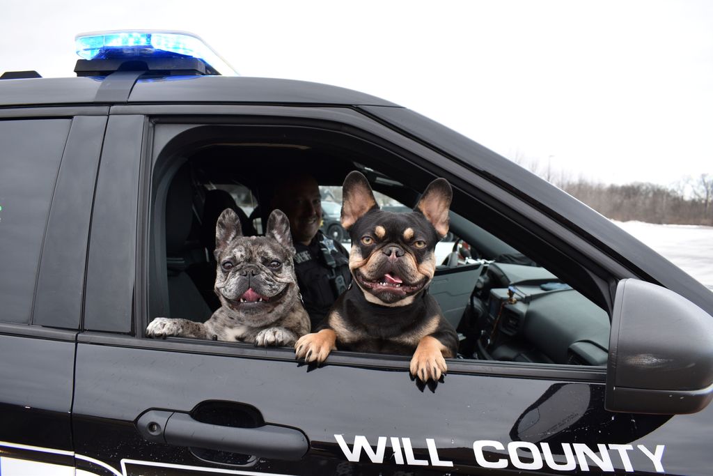 East Varsity Cheer trophy presentation