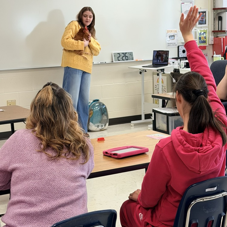 students petting a chicken