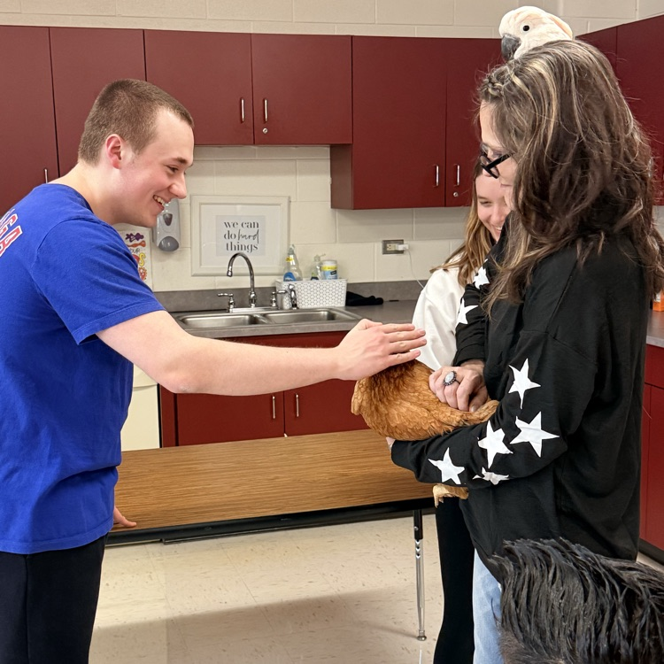 students petting a chicken