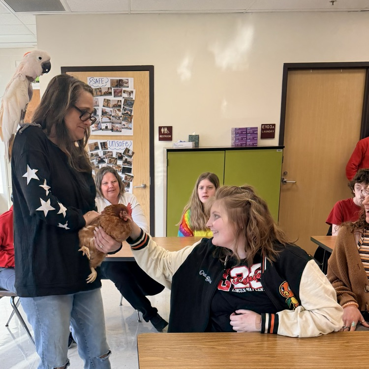 students petting a chicken