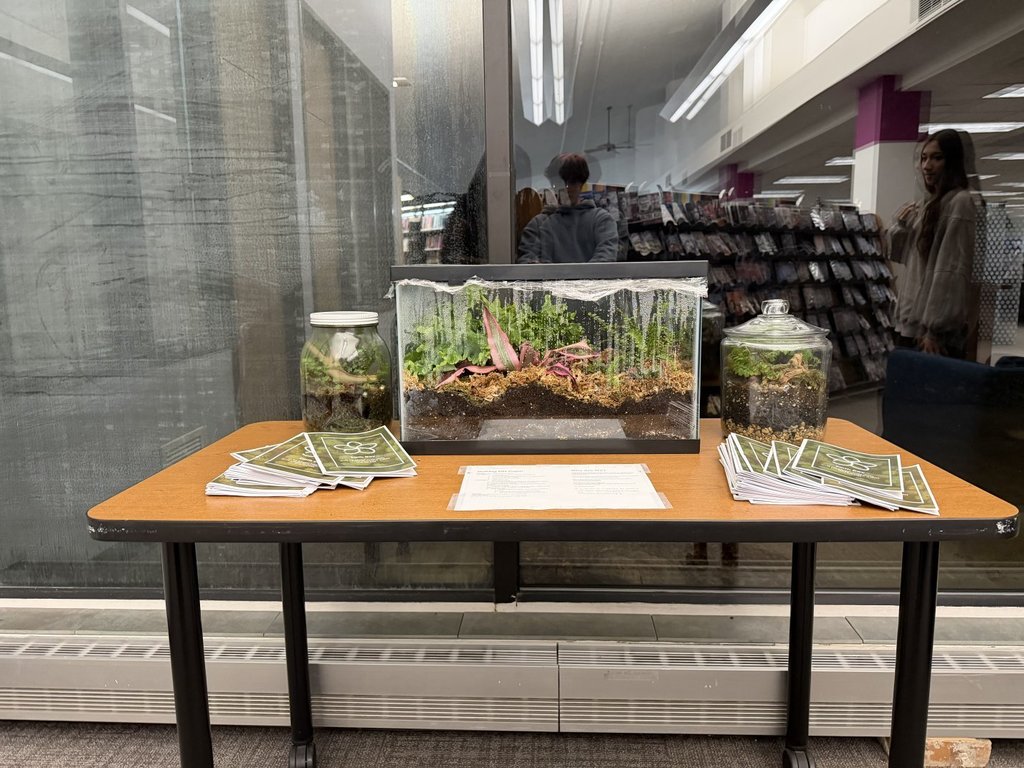 stem sprouts club made terranium