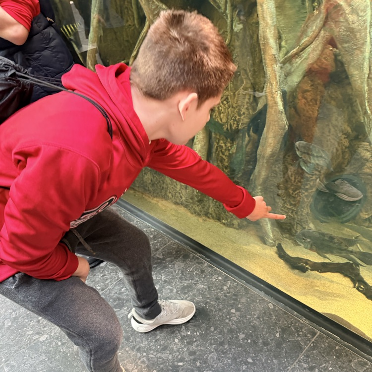 student looking at fish