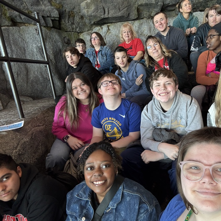 students at dolphin show