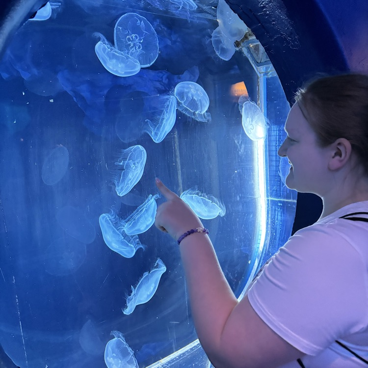 student looking at jellyfish