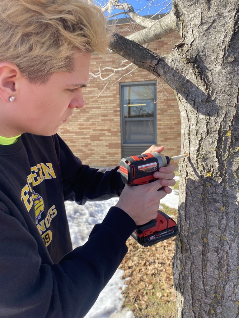 A person with blonde hair uses a drill to work on a tree trunk. A building with brick walls is in the background.