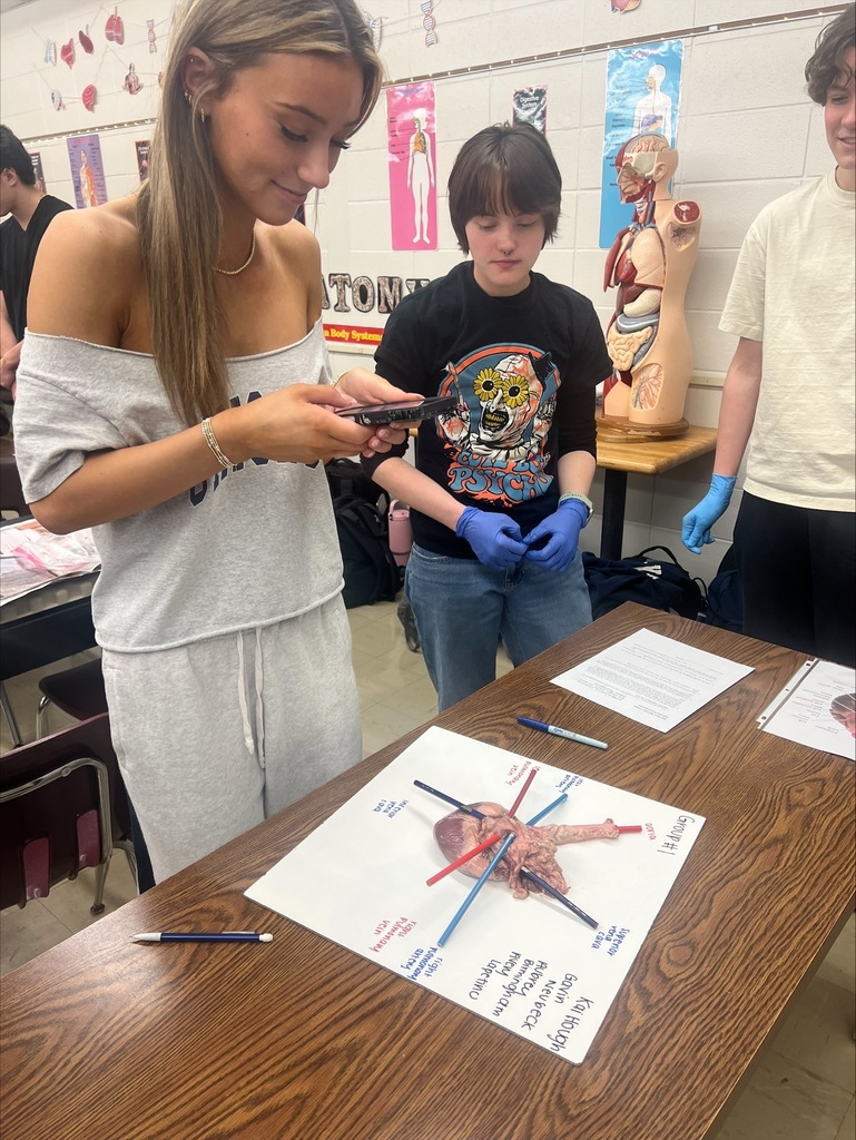 People in a classroom, one  looks at a phone, another works on a diagram.