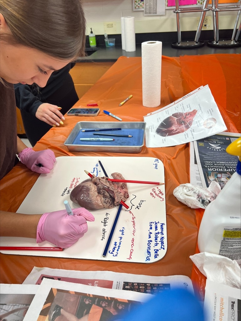 Person in gloves examines a heart diagram on a table with tools and papers around them.