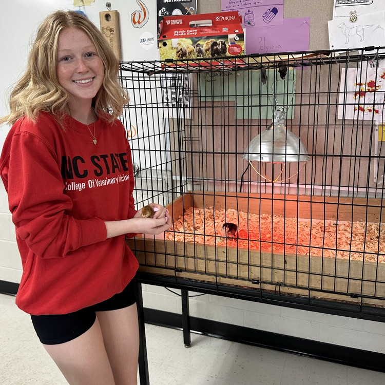 student holding baby chick in class