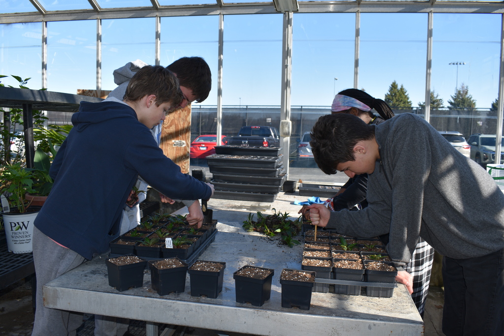 Several people work at a table in a greenhouse, tending to seedlings in black containers.