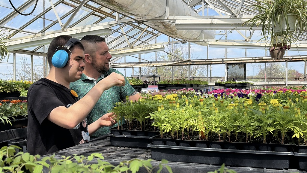 Two people in a greenhouse with ear protection, examining rows of potted plants. Glass walls and ceiling provide natural light.