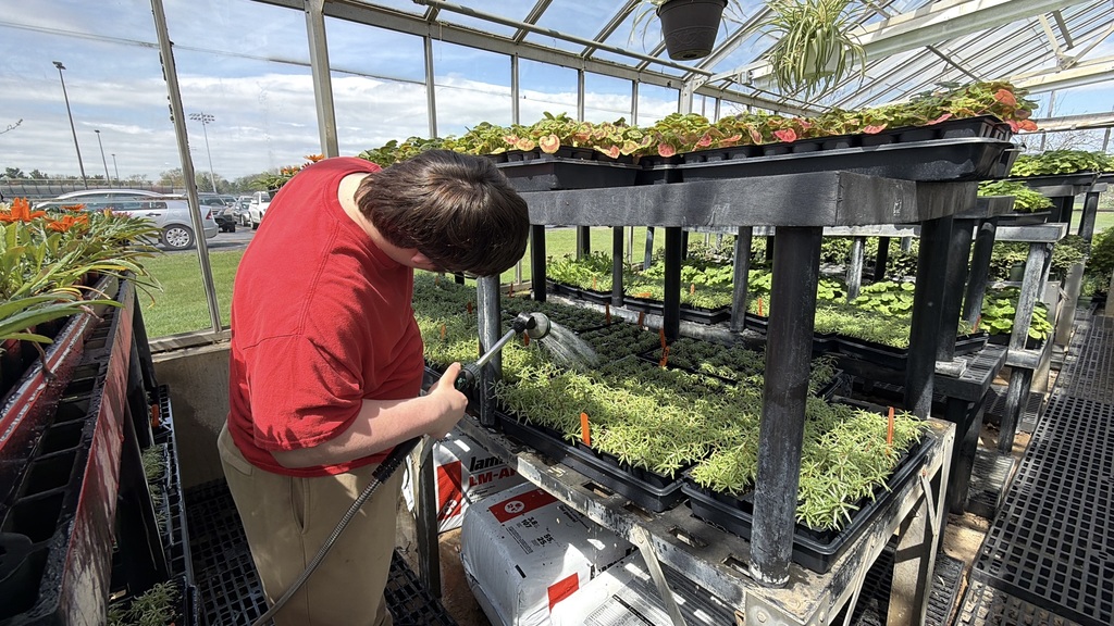 A person waters plants in a greenhouse. The person wears a red shirt and tan pants.