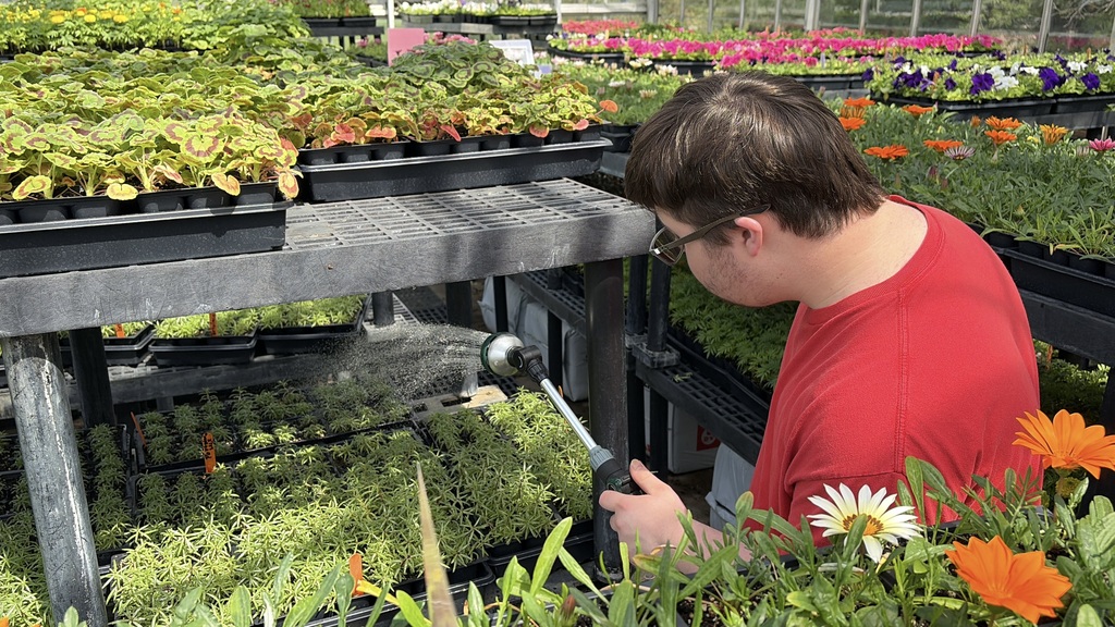 A person in a red shirt is using a sprayer on plants in a greenhouse.