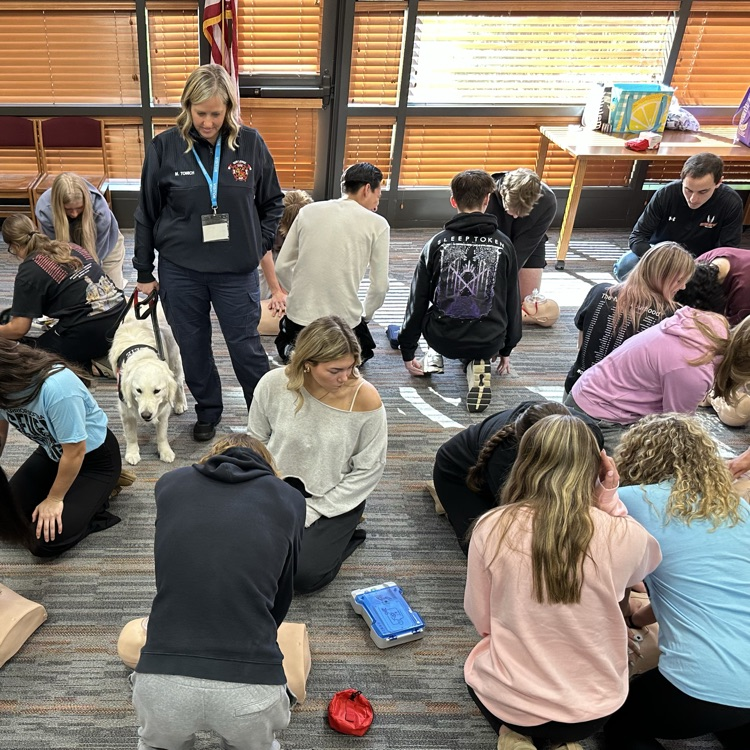 students practicing cpr skills with instructor